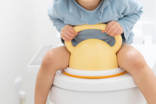 トイレトレーニングに補助便座は必要？使用期間や選び方も紹介